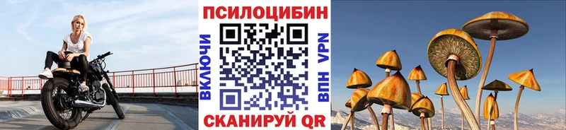 Галлюциногенные грибы Cubensis  Ленинск-Кузнецкий 